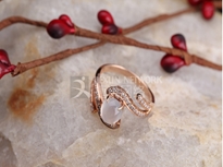 http://expimp_com.kongcheng2021.com//̘IzӰ